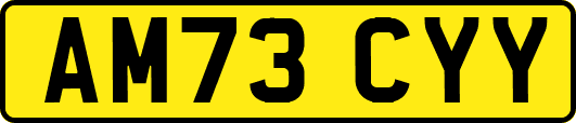AM73CYY