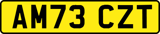 AM73CZT