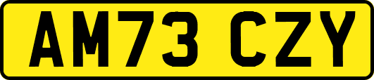 AM73CZY