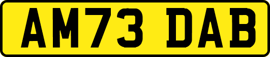 AM73DAB