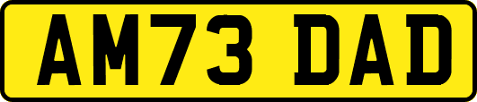 AM73DAD