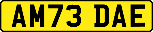 AM73DAE