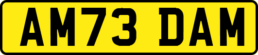 AM73DAM