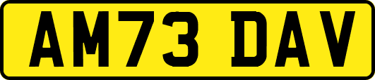 AM73DAV