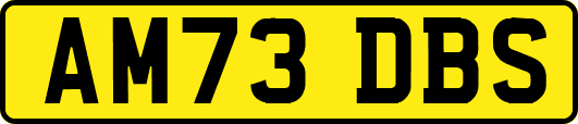 AM73DBS