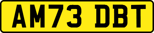 AM73DBT