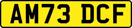 AM73DCF