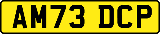 AM73DCP