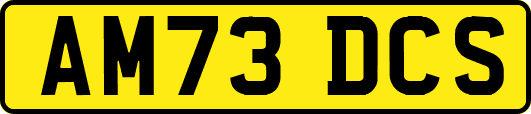 AM73DCS