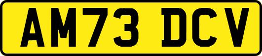AM73DCV