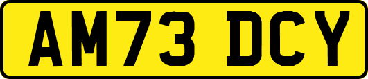 AM73DCY