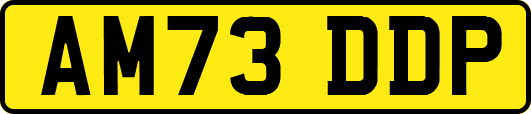 AM73DDP