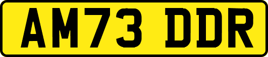 AM73DDR