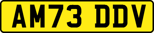 AM73DDV