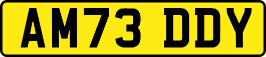 AM73DDY