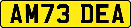 AM73DEA