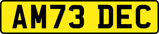 AM73DEC