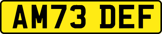 AM73DEF