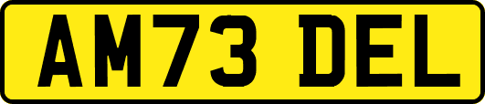 AM73DEL