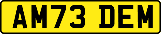 AM73DEM