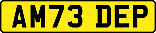 AM73DEP