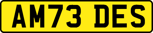 AM73DES