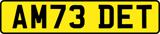 AM73DET