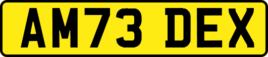 AM73DEX