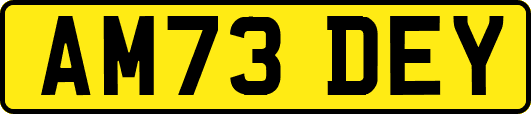 AM73DEY