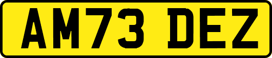 AM73DEZ