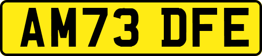 AM73DFE
