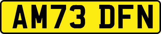 AM73DFN