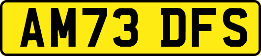 AM73DFS