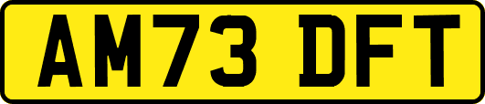 AM73DFT