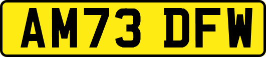 AM73DFW
