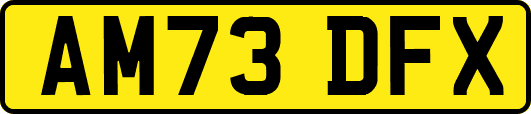 AM73DFX