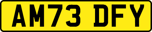 AM73DFY