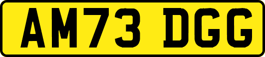 AM73DGG