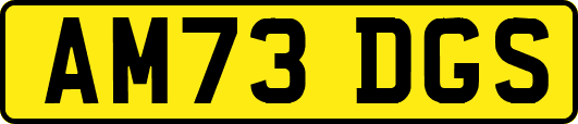 AM73DGS