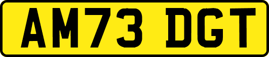 AM73DGT