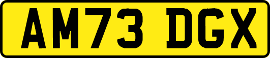 AM73DGX