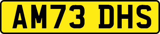 AM73DHS