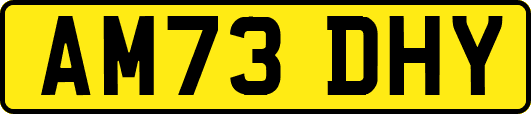 AM73DHY