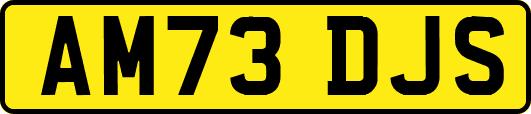 AM73DJS