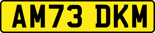 AM73DKM