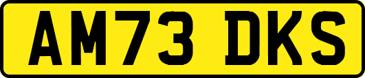AM73DKS