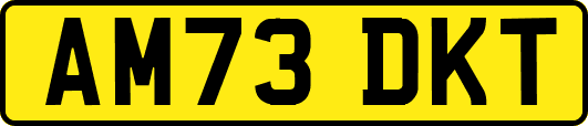 AM73DKT
