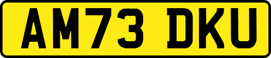AM73DKU