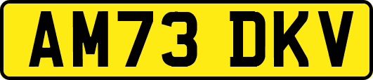 AM73DKV