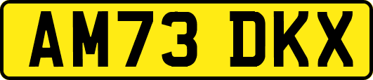 AM73DKX